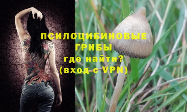 герыч Арсеньев