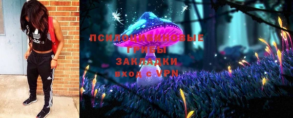 герыч Арсеньев